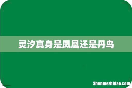 灵汐真身是凤凰还是丹鸟