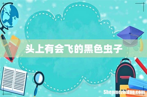 头上有会飞的黑色虫子