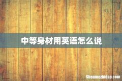 中等身材用英语怎么说