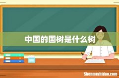 中国的国树是什么树
