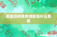 周虽旧邦其命维新是什么意思