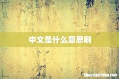 中文是什么意思啊