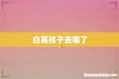 白英孩子去哪了