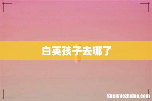 白英孩子去哪了