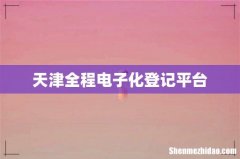 天津全程电子化登记平台