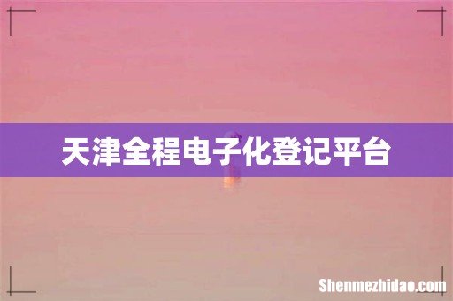 天津全程电子化登记平台