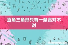直角三角形只有一条高对不对