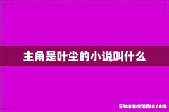 主角是叶尘的小说叫什么