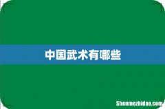 中国武术有哪些