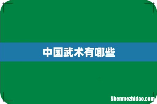 中国武术有哪些