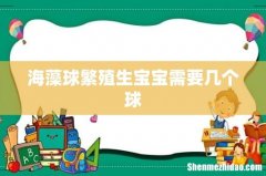 海藻球繁殖生宝宝需要几个球