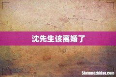 沈先生该离婚了