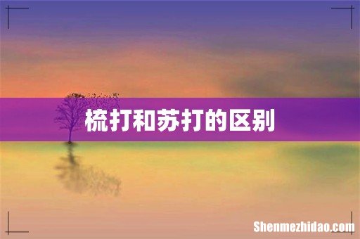 梳打和苏打的区别