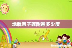 地栽百子莲耐寒多少度