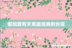 假如爱有天意最经典的台词