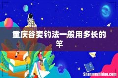 重庆谷麦钓法一般用多长的竿