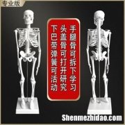 脚骨手骨各多少块 脚骨和手骨隐隐约约的疼是怎么回事