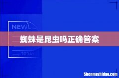 蜘蛛是昆虫吗正确答案