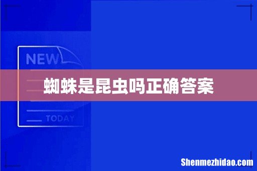 蜘蛛是昆虫吗正确答案