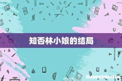 知否林小娘的结局