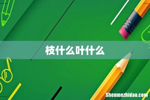 枝什么叶什么
