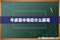 牛皮菜中毒吃什么解毒