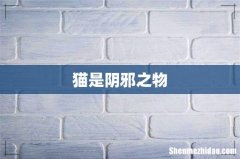 猫是阴邪之物