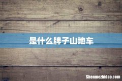 是什么牌子山地车