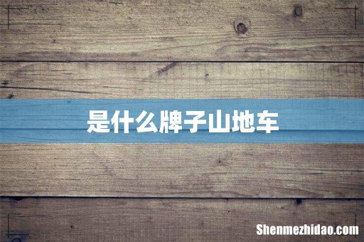 是什么牌子山地车