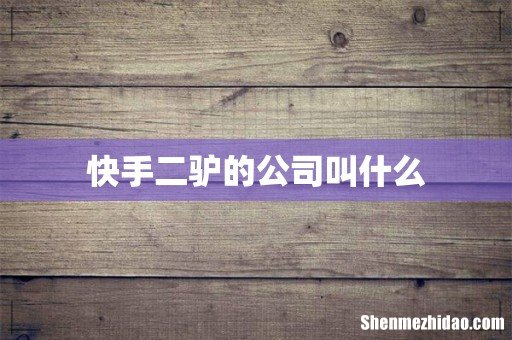 快手二驴的公司叫什么