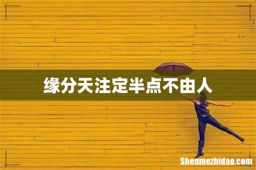 缘分天注定半点不由人