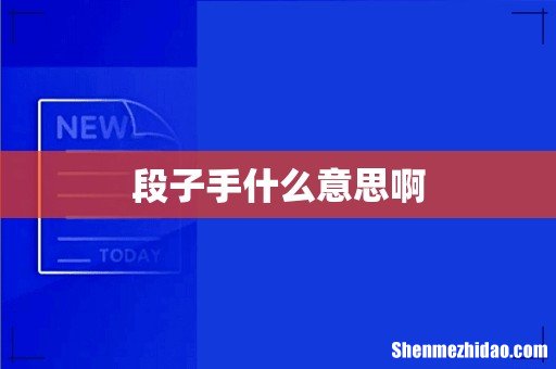 段子手什么意思啊