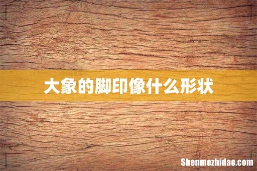 大象的脚印像什么形状