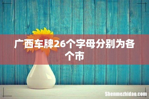 广西车牌26个字母分别为各个市