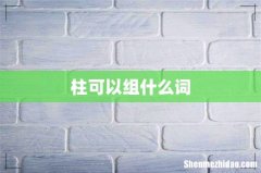 柱可以组什么词