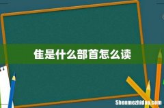 隹是什么部首怎么读