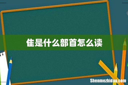 隹是什么部首怎么读