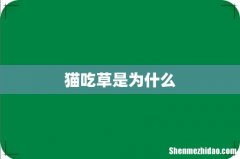 猫吃草是为什么