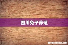 四川兔子养殖