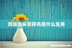 鸿运当头吉祥兆是什么生肖