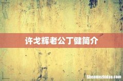 许戈辉老公丁健简介