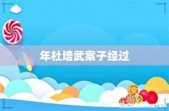 年杜培武案子经过
