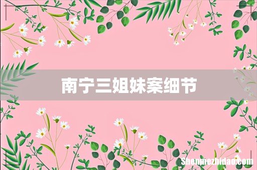南宁三姐妹案细节