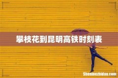 攀枝花到昆明高铁时刻表