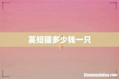 英短猫多少钱一只