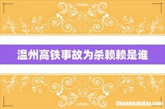 温州高铁事故为杀赖赖是谁