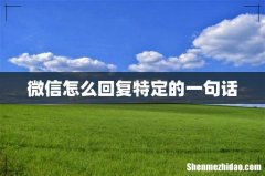 微信怎么回复特定的一句话