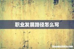 职业发展路径怎么写