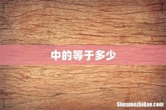 中的等于多少
