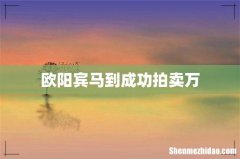 欧阳宾马到成功拍卖万